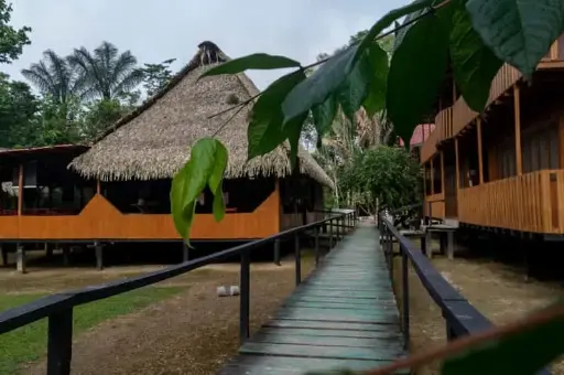  Selva Amazónica – Aventura en Cuyabeno (4 días / 3 noches) Precio sugerido: $270 por persona